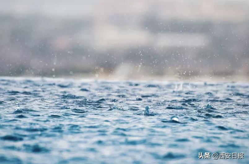 紫阳街道最新天气预报