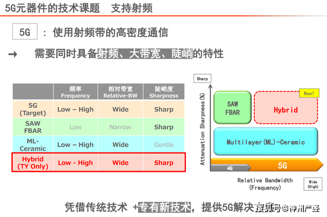 2025新奥资料免费精准071133期 10-24-29-31-36-39N：21