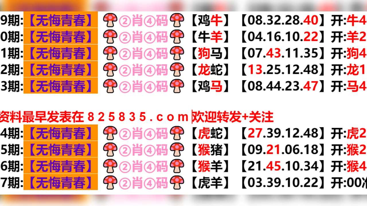 新奥门资料免费精准127期 02-03-09-26-28-33P：07